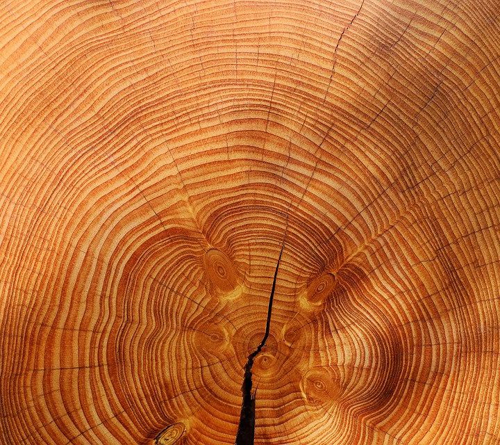 Wywóz gruzu – z jakiego powodu warto wybrać wprawną firmę?